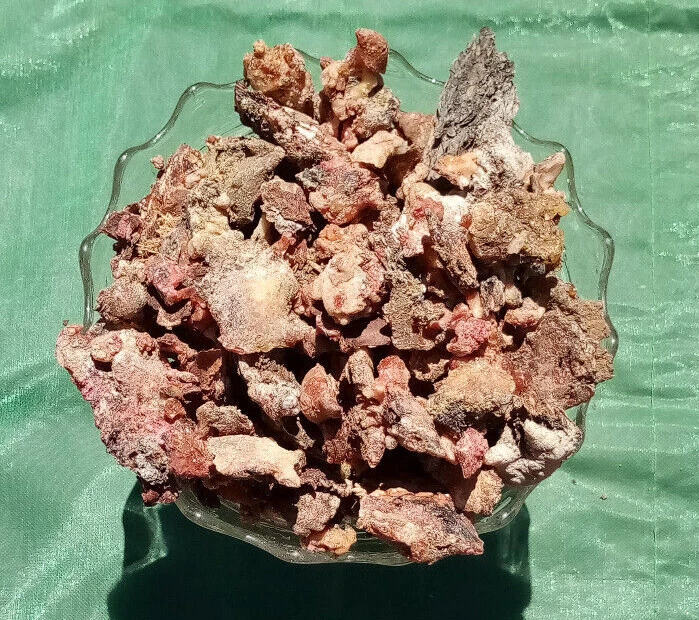 Piñon Pine Tree Sap/Resin/Pitch 'Seconds', from SW New Mexico W/Bark on Multiuse - Image 3 of 4