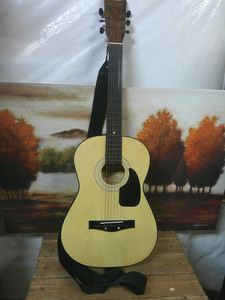 Vintage Mark II Student Acoustic Guitar Model #M-31=VGC
