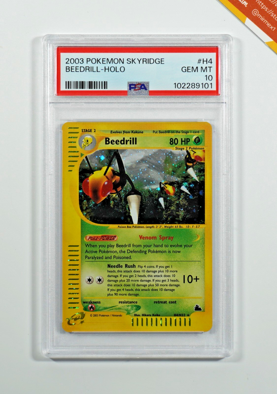 Pokemon PSA 10 Beedrill #H4 Holo Skyridge 2003 English