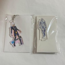 Weather Report JoJo Aurora Acrylic Keychain - Stone Ocean Collectible