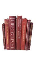 8 Burgundy Shades Hardcover Books Instant Library Decorative Collection Books