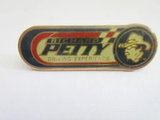 Richard Petty Driving Experience Pin NASCAR #43 Collector Hat Lapel Pin 