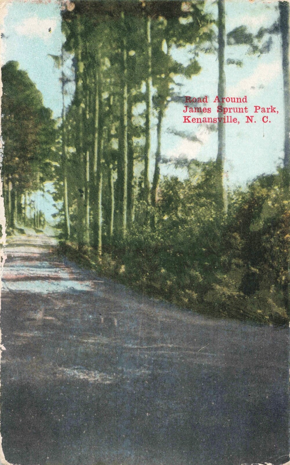 Road Around James Sprunt Park Kenansville North Carolina NC c1910 Postcard eBay