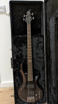 hard shell bass case