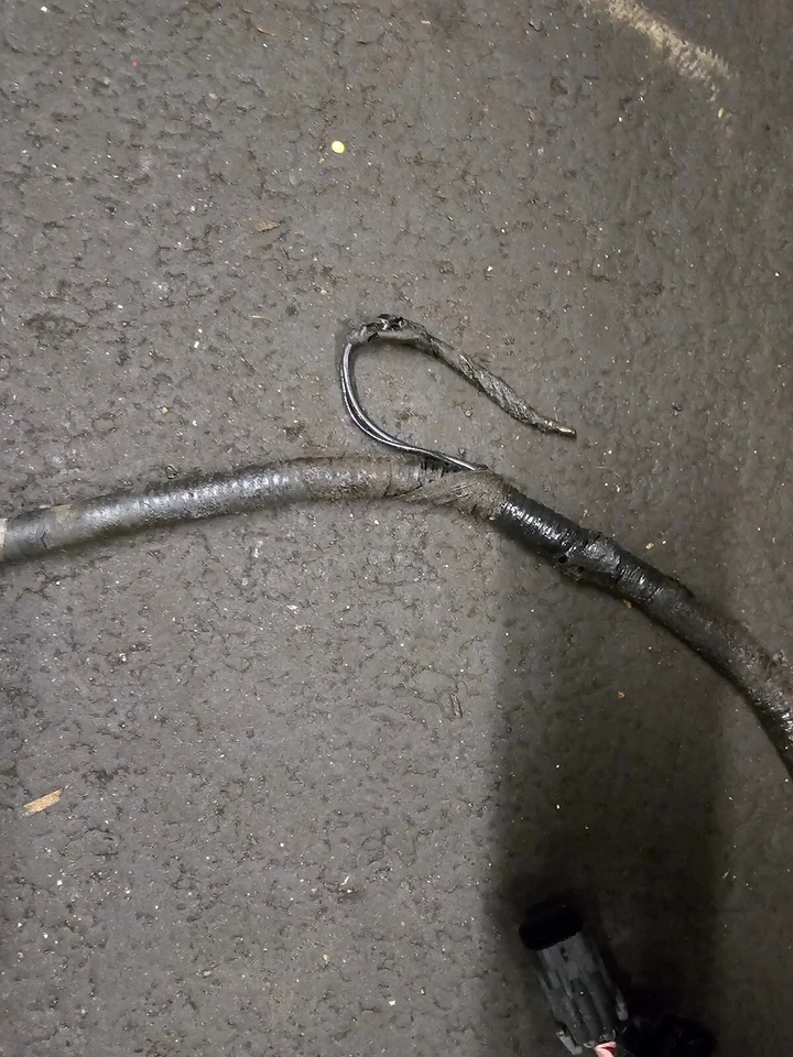 Chevrolet Silverado 1500HD 2002 caja de transferencia arnés Foto 4 de 4