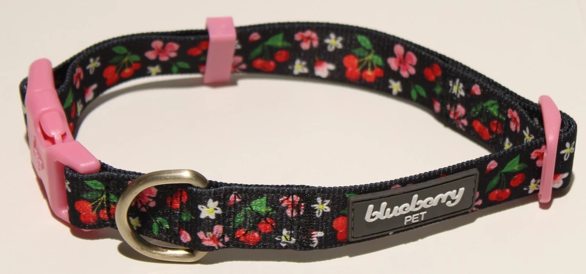 Blueberry pet martingale collar cheap