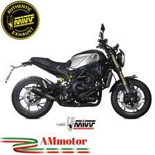 Mivv Benelli Leoncino 800 2023 Terminale Di Scarico Moto Marmitta Mk3 Carbonio