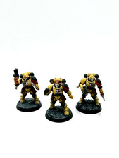 Reivers Primaris easy to build Imperial f…