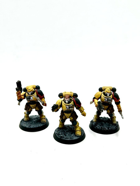 Reivers Primaris easy to build Imperial fists space marines Warhammer Painted