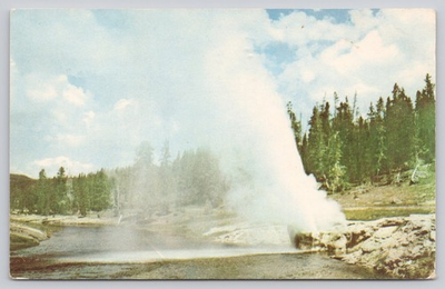 #ad #ad Riverside Geyser Yellowstone National Park Firehole River Postcard $4.75
