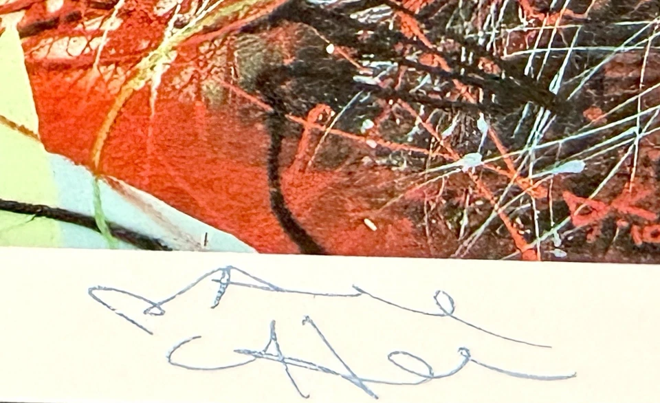 Impresión firmada y numerada de David Choe "Toxic LA Sunsets" / Arte en Facebook - Enmarcado Foto 3 de 4