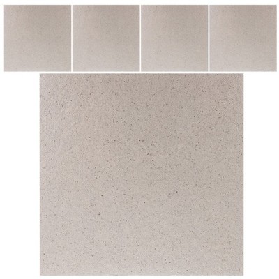 5 Pcs Microwave Oven Waveguide Plate Mica Plates for Splatter Guard