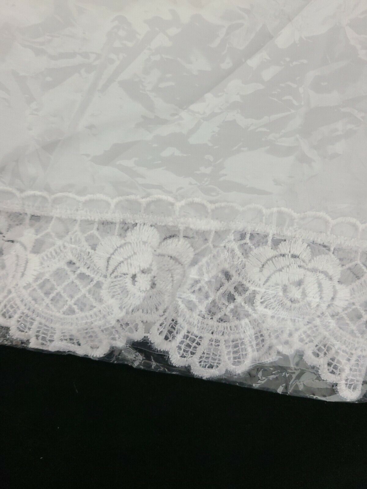 Picture 6 of 6