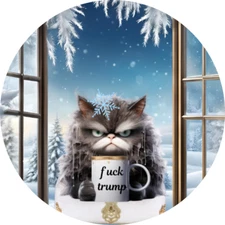 Anti Trump anti MAGA political sticker or magnet