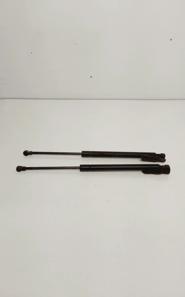 Toyota Matrix XR 2006 puerta trasera tapa puntales OEM Foto 2 de 4