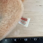 Foto 6 di 8