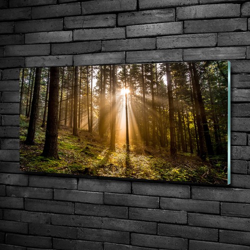 Tableau Sur Verre Acrylique Tulup 50x100 Cm - Arbre Dans Le Brouillard (Neuf)
