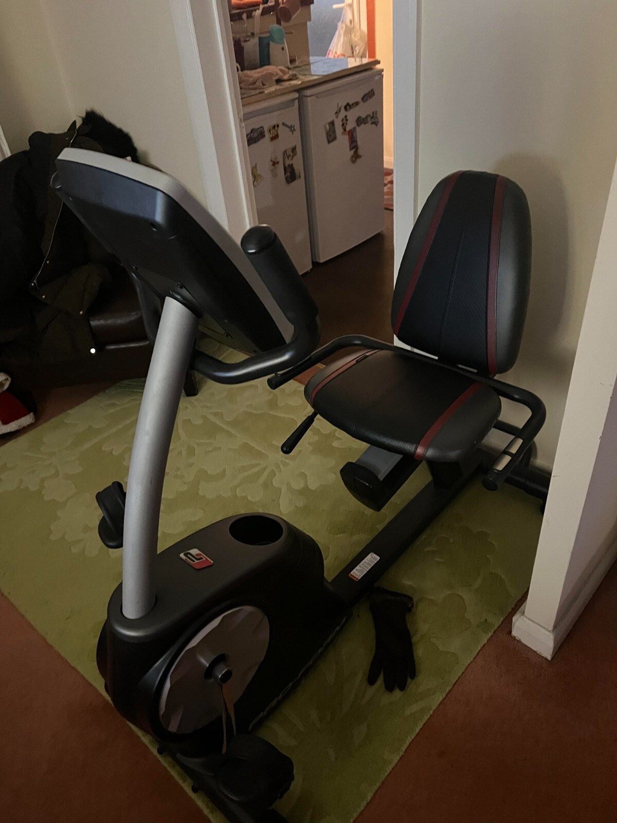 ProForm 425 ZLX Recumbent Exercise Bike eBay