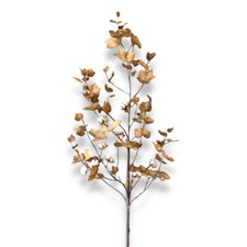 Harvest Cotton Plant