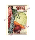 1935 T.W. Wood Sons vegetable Wood's seeds metal tin sign amazing metal wall art