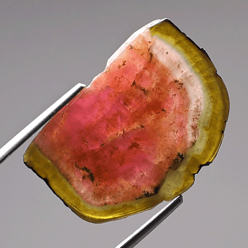 Gemma succosa ~ 8,46 Cts Tormalina naturale di anguria 21,6 mm fetta lucida pietra preziosa - Foto 4 di 11