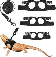 Bearded Dragon Leash and Harness Set, Reptile Walking Accessories Outdoor Safety