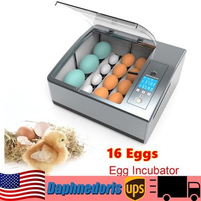  16 Eggs Egg Incubator for Hatching Egg Full Automatic Turning Duck Chicken Egg