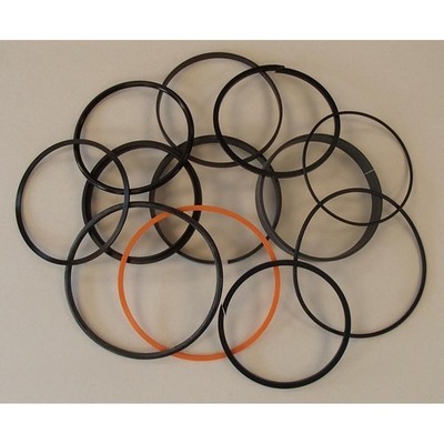 Seal Kit - Boom, Crowd, Bucket, Swing, Angle AH212585 Fits Case 350D 750K