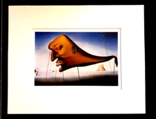 Salvador Dali' "Sleep" 8 x 10 Matted Art Print-1937