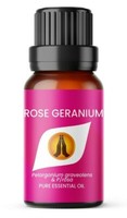 Essential Oils 10ML Aromatherapy Pure Essential Oil Fragrances Diffuser Burner