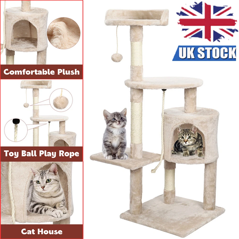 Cat climbing cheap house