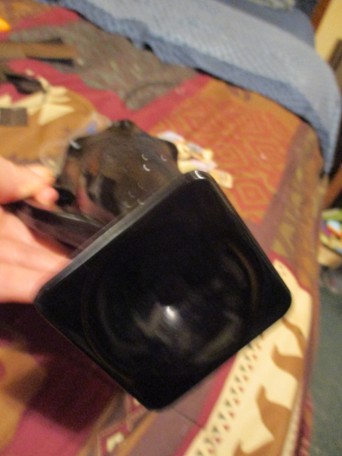 Picture 7 of 8