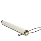 Interroll RollerDrive EC5000 35W BI 21:1 24VDC 2.2A IP54 D50 EL 600mm PVC -unuse