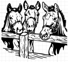 Horse Decal