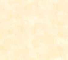 MODA FABRICS MARBLES 9880 36 THIS IS "SWEET OFF WHITE" BTY