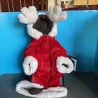 Foto 1 di 3