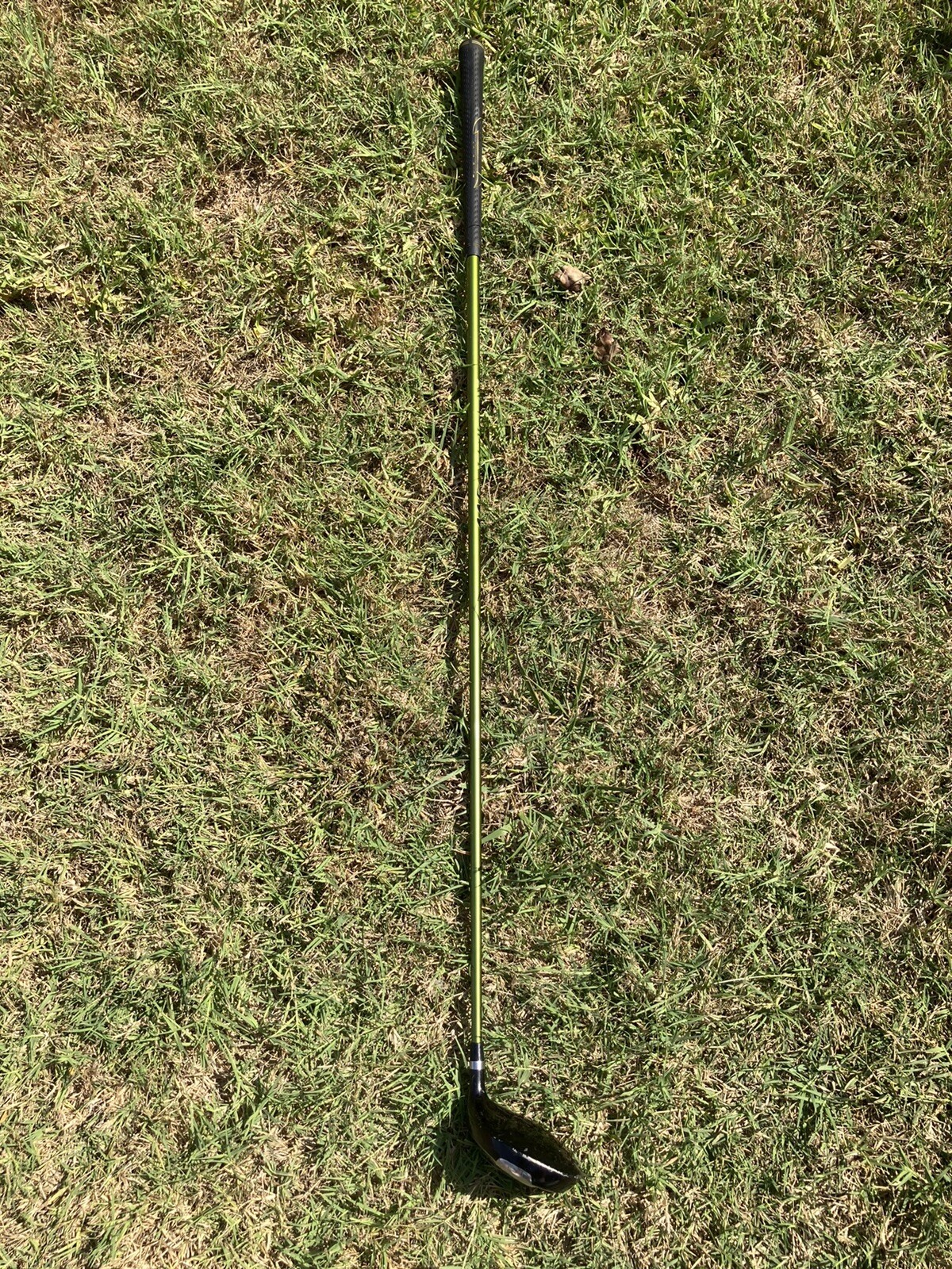 Picture 6 of 6