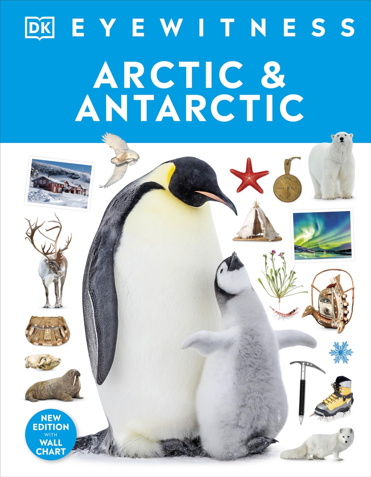 Arctic and Antarctic: DK Eyewitness by Dk (HB 2024) - Image 3