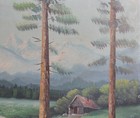 Picture 14 of 19