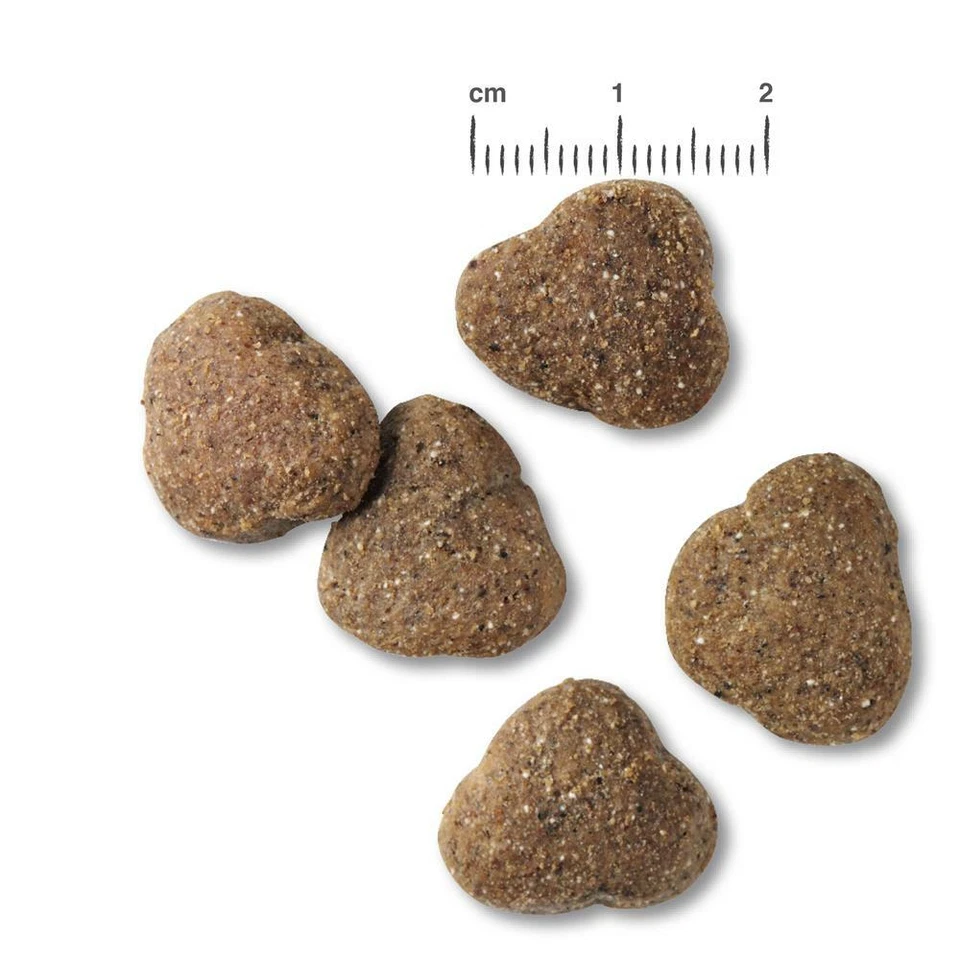 Belcando JUNIOR Lamb & Rice 12,5 kg - Trockenfutter für Hundewelpen - Bild 2 von 2