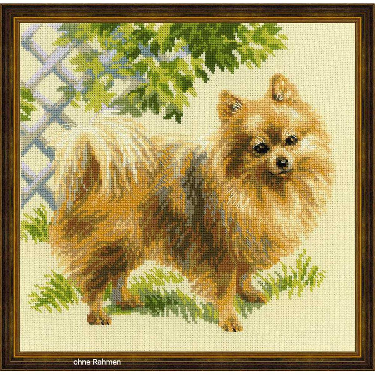 Riolis counted cross stitch Kit Pomeranian, DIY