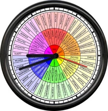 Psychiatrist  Psychologist Counselor Feelings Wheel Office Gift Sign Wall Clock