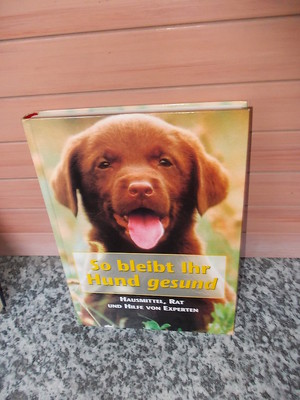 So bleibt Ihr Hund gesund, von Matthew Hoffman (Hrsg.), aus dem Bechtermünz Verl