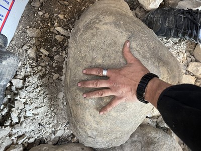 Giant Prehistoric Clam Fossil Complete It Weighs About 50lbs Found In Texas