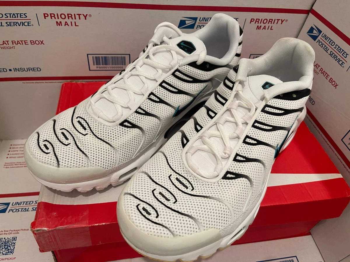 Dusty cactus on sale air max plus