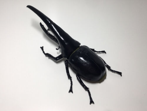 Japan Exclusive SO-TA Hercules Beetle Insect PVC Figure Black - Picture 1 of 7