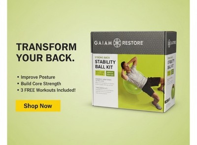Gaiam Restore Strong Back Stability Ball Kit NEW in sealed box with pump 