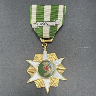 Vietnam War Campaign Medal Full Size Award with 1960 Bar RVN US Military