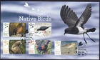 NEW ZEALAND 2017 Recovering Native Birds, Set of 5 on FDC