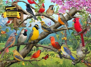 500 Piece Puzzle for Adults – Colorful Birds Jigsaw Puzzle for Adults & Seniors